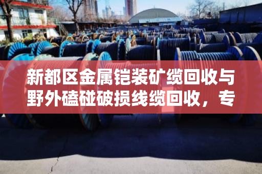 新都区金属铠装矿缆回收与野外磕碰破损线缆回收,专业处理,变废为宝 新都区金属铠装矿缆回收与野外磕碰破损线缆回收,专业处理,变废为宝