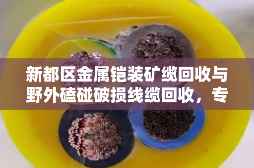 新都区金属铠装矿缆回收与野外磕碰破损线缆回收,专业处理,变废为宝 新都区金属铠装矿缆回收与野外磕碰破损线缆回收,专业处理,变废为宝