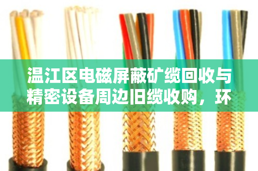 温江区电磁屏蔽矿缆回收与精密设备周边旧缆收购，环保与价值的双赢之道