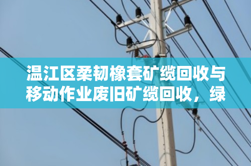 温江区柔韧橡套矿缆回收与移动作业废旧矿缆回收,绿色发展的新路径 温江区柔韧橡套矿缆回收与移动作业废旧矿缆回收,绿色发展的新路径