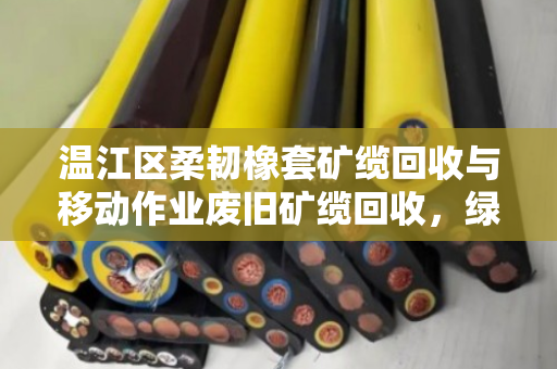 温江区柔韧橡套矿缆回收与移动作业废旧矿缆回收,绿色发展的新路径 温江区柔韧橡套矿缆回收与移动作业废旧矿缆回收,绿色发展的新路径