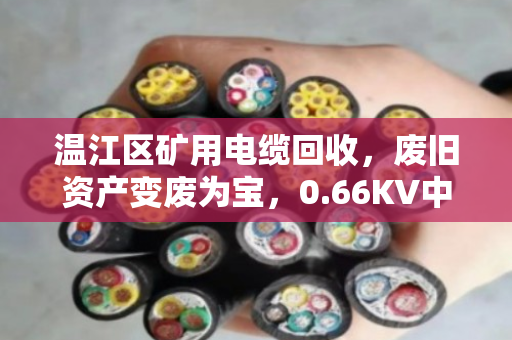 温江区矿用电缆回收,废旧资产变废为宝,0.66KV中压缆与报废设备线缆如何卖个好价钱? 温江区矿用电缆回收,废旧资产变废为宝,0.66KV中压缆与报废设备线缆如何卖个好价钱?