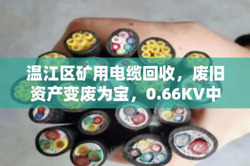 温江区矿用电缆回收,废旧资产变废为宝,0.66KV中压缆与报废设备线缆如何卖个好价钱? 温江区矿用电缆回收,废旧资产变废为宝,0.66KV中压缆与报废设备线缆如何卖个好价钱?