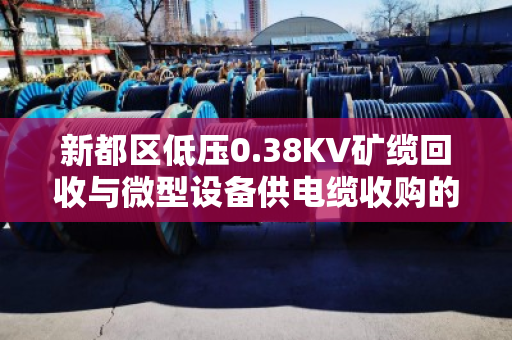 新都区低压0.38KV矿缆回收与微型设备供电缆收购的黄金搭档—泊祎回收助力降本增效 新都区低压0.38KV矿缆回收与微型设备供电缆收购的黄金搭档—泊祎回收助力降本增效