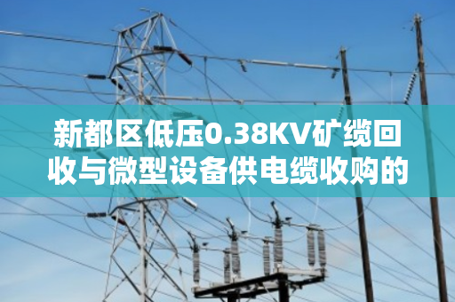 新都区低压0.38KV矿缆回收与微型设备供电缆收购的黄金搭档—泊祎回收助力降本增效 新都区低压0.38KV矿缆回收与微型设备供电缆收购的黄金搭档—泊祎回收助力降本增效