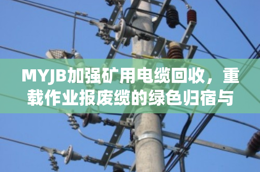 MYJB加强矿用电缆回收，重载作业报废缆的绿色归宿与价值再生
