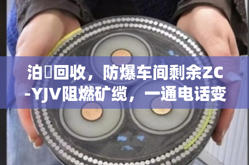 泊祎回收,防爆车间剩余ZC-YJV阻燃矿缆,一通电话变废为宝 泊祎回收,防爆车间剩余ZC-YJV阻燃矿缆,一通电话变废为宝