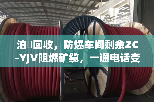 泊祎回收,防爆车间剩余ZC-YJV阻燃矿缆,一通电话变废为宝 泊祎回收,防爆车间剩余ZC-YJV阻燃矿缆,一通电话变废为宝