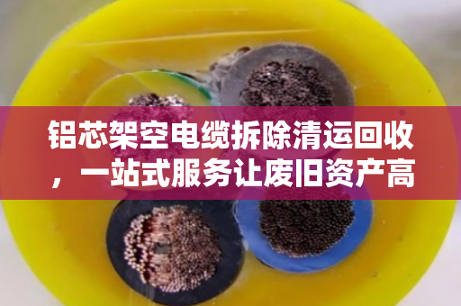 铝芯架空电缆拆除清运回收，一站式服务让废旧资产高效变现