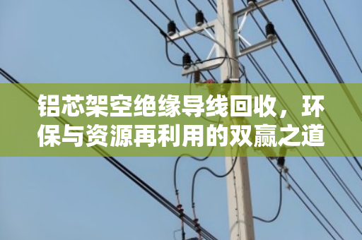 铝芯架空绝缘导线回收，环保与资源再利用的双赢之道