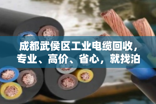 成都武侯区工业电缆回收,专业、高价、省心,就找泊祎回收 成都武侯区工业电缆回收,专业、高价、省心,就找泊祎回收