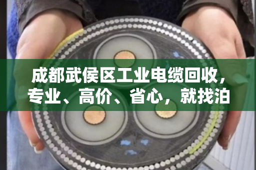 成都武侯区工业电缆回收,专业、高价、省心,就找泊祎回收 成都武侯区工业电缆回收,专业、高价、省心,就找泊祎回收