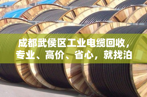 成都武侯区工业电缆回收，专业、高价、省心，就找泊祎回收
