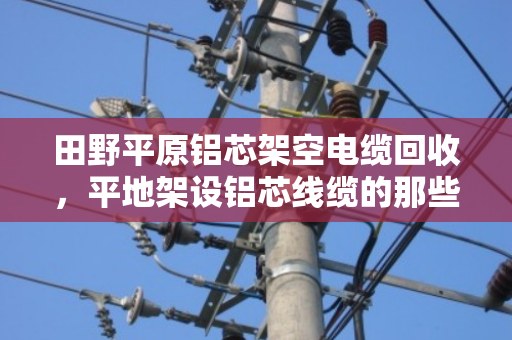 田野平原铝芯架空电缆回收,平地架设铝芯线缆的那些门道 田野平原铝芯架空电缆回收,平地架设铝芯线缆的那些门道