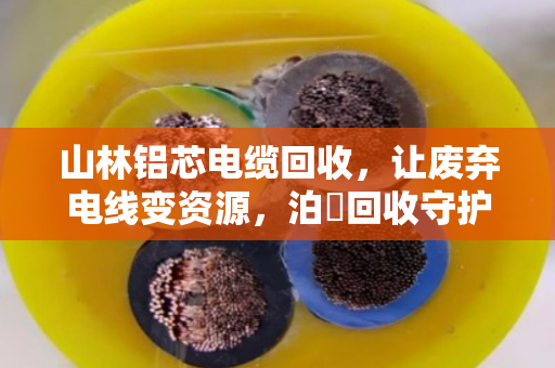 山林铝芯电缆回收,让废弃电线变资源,泊祎回收守护绿水青山 山林铝芯电缆回收,让废弃电线变资源,泊祎回收守护绿水青山