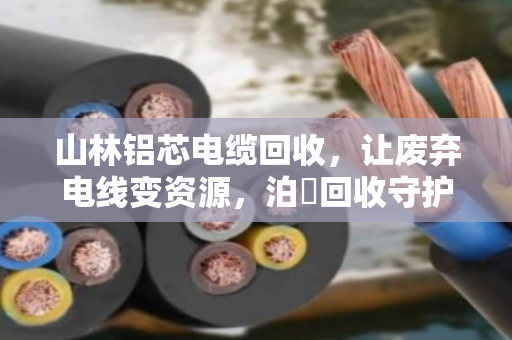 山林铝芯电缆回收,让废弃电线变资源,泊祎回收守护绿水青山 山林铝芯电缆回收,让废弃电线变资源,泊祎回收守护绿水青山
