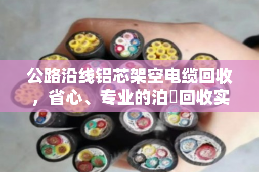 公路沿线铝芯架空电缆回收，省心、专业的泊祎回收实践指南