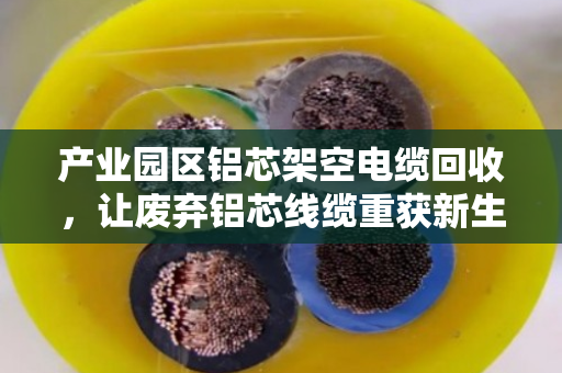 产业园区铝芯架空电缆回收,让废弃铝芯线缆重获新生 产业园区铝芯架空电缆回收,让废弃铝芯线缆重获新生