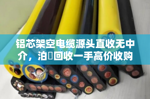 铝芯架空电缆源头直收无中介,泊祎回收一手高价收购—省心省力更赚钱 铝芯架空电缆源头直收无中介,泊祎回收一手高价收购—省心省力更赚钱