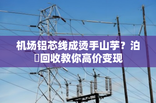 机场铝芯线成烫手山芋?泊祎回收教你高价变现 机场铝芯线成烫手山芋?泊祎回收教你高价变现