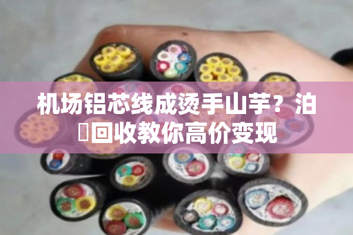 机场铝芯线成烫手山芋?泊祎回收教你高价变现 机场铝芯线成烫手山芋?泊祎回收教你高价变现
