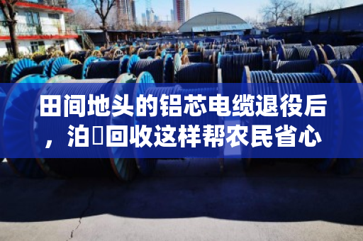 田间地头的铝芯电缆退役后，泊祎回收这样帮农民省心又省钱