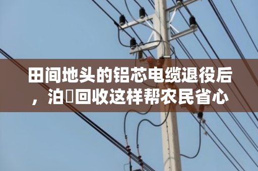 田间地头的铝芯电缆退役后，泊祎回收这样帮农民省心又省钱