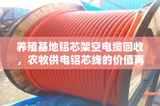 养殖基地铝芯架空电缆回收,农牧供电铝芯线的价值再生 养殖基地铝芯架空电缆回收,农牧供电铝芯线的价值再生