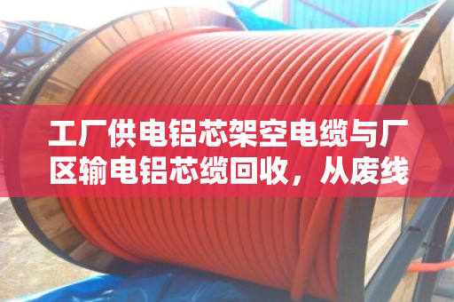 工厂供电铝芯架空电缆与厂区输电铝芯缆回收，从废线到资源的务实之道