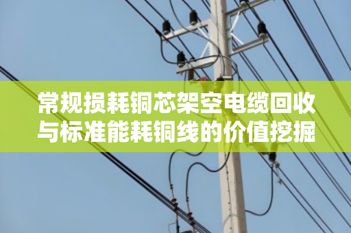 常规损耗铜芯架空电缆回收与标准能耗铜线的价值挖掘