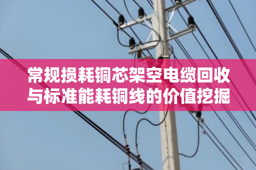 常规损耗铜芯架空电缆回收与标准能耗铜线的价值挖掘