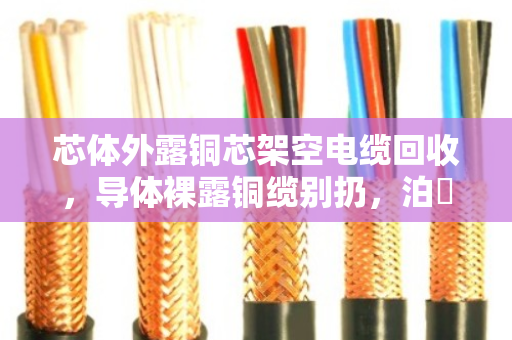芯体外露铜芯架空电缆回收,导体裸露铜缆别扔,泊祎回收让废线变真金 芯体外露铜芯架空电缆回收,导体裸露铜缆别扔,泊祎回收让废线变真金