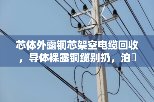 芯体外露铜芯架空电缆回收,导体裸露铜缆别扔,泊祎回收让废线变真金 芯体外露铜芯架空电缆回收,导体裸露铜缆别扔,泊祎回收让废线变真金