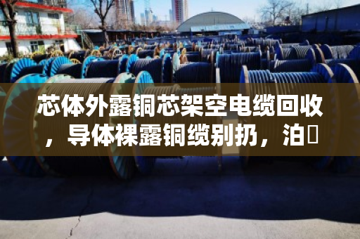 芯体外露铜芯架空电缆回收，导体裸露铜缆别扔，泊祎回收让废线变真金
