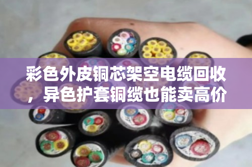 彩色外皮铜芯架空电缆回收，异色护套铜缆也能卖高价？老电工说出实情