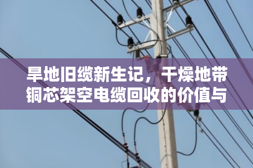 旱地旧缆新生记,干燥地带铜芯架空电缆回收的价值与路径 旱地旧缆新生记,干燥地带铜芯架空电缆回收的价值与路径
