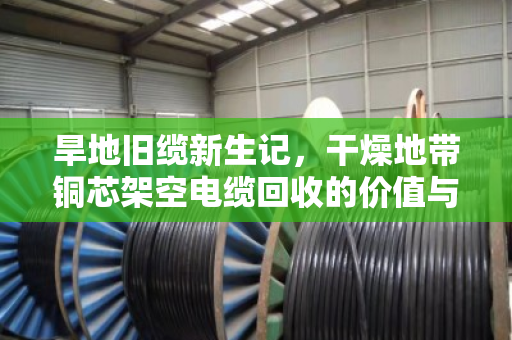 旱地旧缆新生记,干燥地带铜芯架空电缆回收的价值与路径 旱地旧缆新生记,干燥地带铜芯架空电缆回收的价值与路径