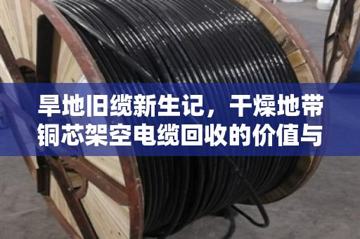 旱地旧缆新生记，干燥地带铜芯架空电缆回收的价值与路径