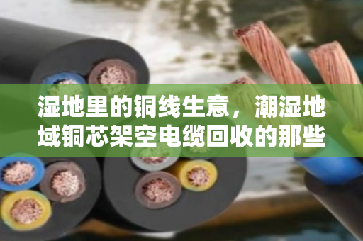 湿地里的铜线生意,潮湿地域铜芯架空电缆回收的那些门道与价值 湿地里的铜线生意,潮湿地域铜芯架空电缆回收的那些门道与价值