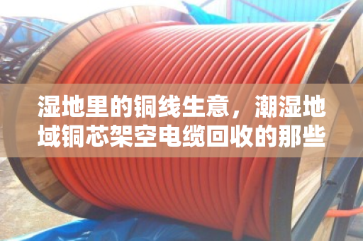 湿地里的铜线生意,潮湿地域铜芯架空电缆回收的那些门道与价值 湿地里的铜线生意,潮湿地域铜芯架空电缆回收的那些门道与价值
