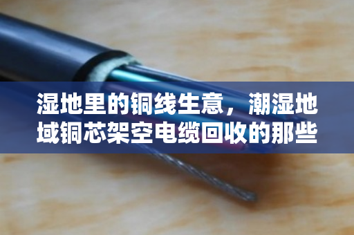 湿地里的铜线生意，潮湿地域铜芯架空电缆回收的那些门道与价值