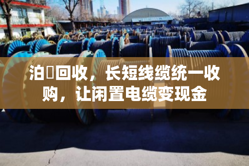 泊祎回收，长短线缆统一收购，让闲置电缆变现金