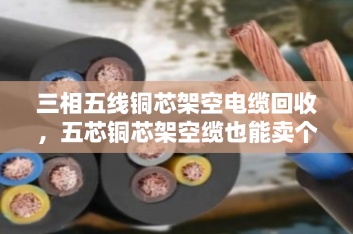 三相五线铜芯架空电缆回收，五芯铜芯架空缆也能卖个好价钱—泊祎回收为您详细拆解