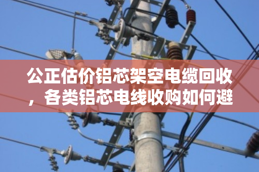 公正估价铝芯架空电缆回收,各类铝芯电线收购如何避坑?泊祎回收用真实案例说话 公正估价铝芯架空电缆回收,各类铝芯电线收购如何避坑?泊祎回收用真实案例说话