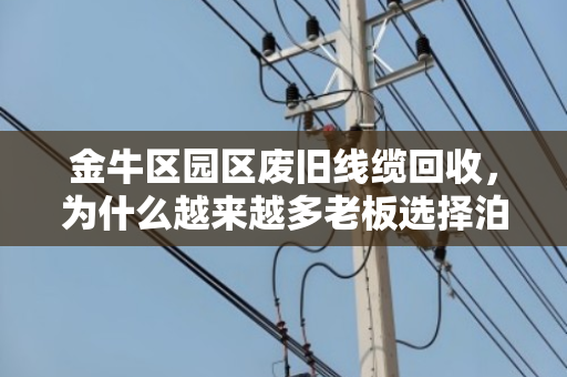 金牛区园区废旧线缆回收，为什么越来越多老板选择泊祎回收？