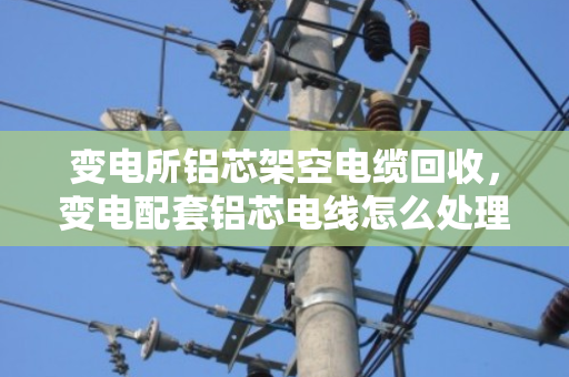 变电所铝芯架空电缆回收,变电配套铝芯电线怎么处理?看泊祎回收怎么说 变电所铝芯架空电缆回收,变电配套铝芯电线怎么处理?看泊祎回收怎么说