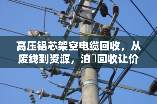高压铝芯架空电缆回收，从废线到资源，泊祎回收让价值最大化
