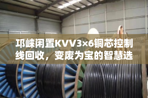 邛崃闲置KVV3×6铜芯控制线回收,变废为宝的智慧选择 邛崃闲置KVV3×6铜芯控制线回收,变废为宝的智慧选择