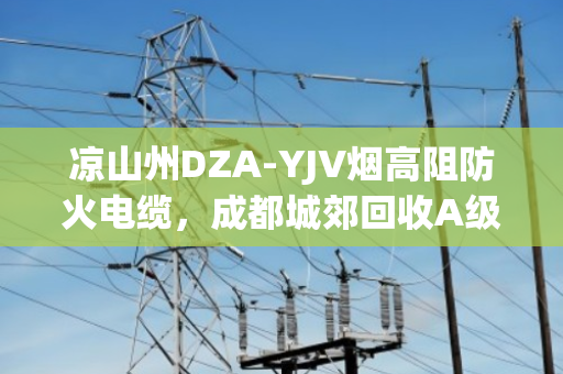 凉山州DZA-YJV烟高阻防火电缆,成都城郊回收A级低烟阻燃缆的环保价值 凉山州DZA-YJV烟高阻防火电缆,成都城郊回收A级低烟阻燃缆的环保价值
