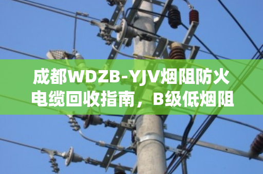 成都WDZB-YJV烟阻防火电缆回收指南，B级低烟阻燃缆的环保价值与实操案例